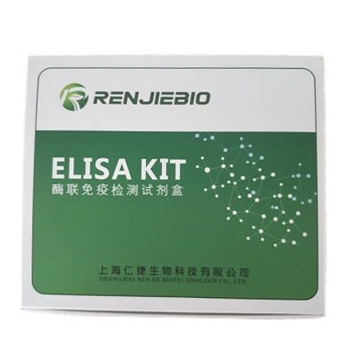 绵羊双氢睾酮（DHT）ELISA试剂盒
