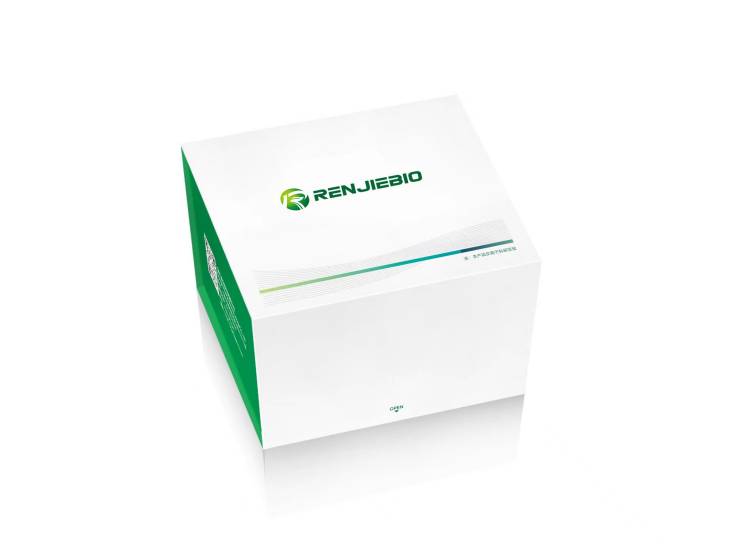 植物油菜素类固醇不敏感的1相关受体激酶1（BAK1）ELISA试剂盒